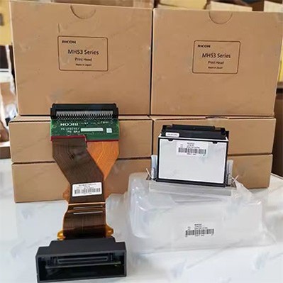 Ricoh Gen6 printhead
